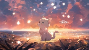 星空下的猫咪