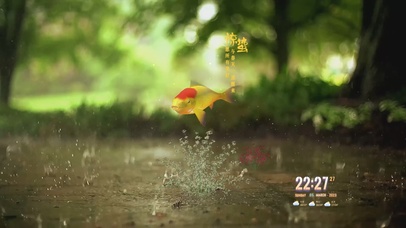 好运锦鲤 惊蛰 4K