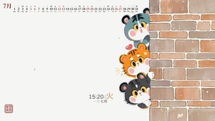 暗中观察小猫咪