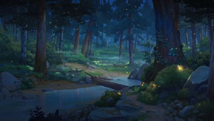 夜晚的森林