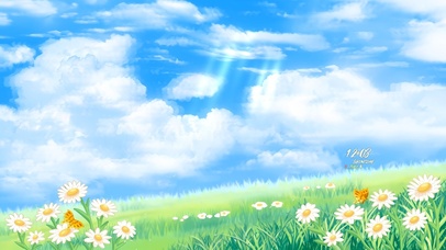 清新治愈雏菊夏日