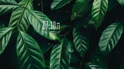 4k高清ins风绿色植物系列