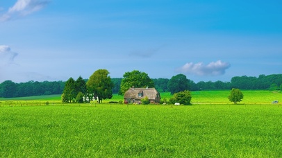 绿草地 亲爱的你