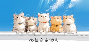 可爱几只猫