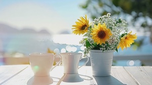 海边小清新空境