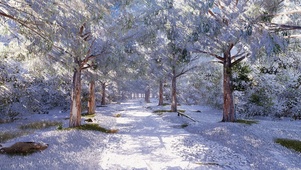 隔年雪4k(双端）