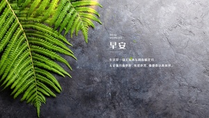 简约系护眼绿植壁纸