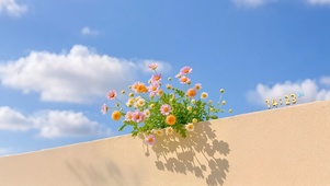 墙头的一簇鲜花