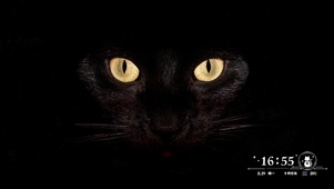 简约黑猫壁纸
