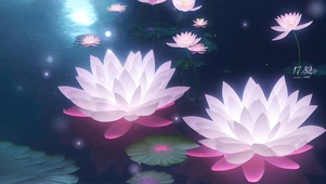 月下莲花