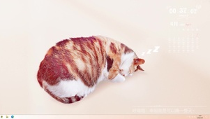呼喵喵-睡觉猫