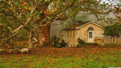 唯美治愈秋天落叶小屋