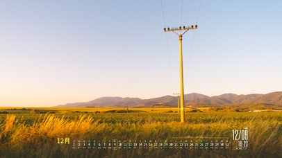 6K 超清治愈【田野】
