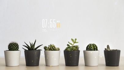 简约小清新盆栽电脑壁纸