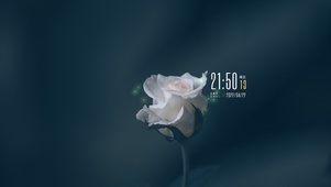 淡雅玫瑰（含真实时间天气））