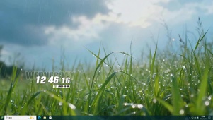 护眼树木桌面主题