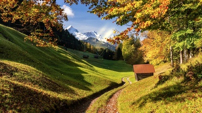 治愈秋林落叶小路