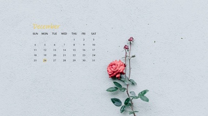 4k高清ins风格系列