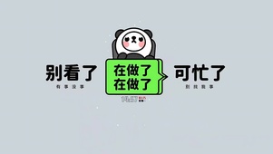 别看了我很忙