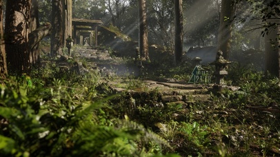 4K护眼森林古道