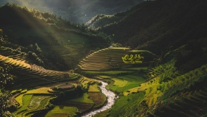唯美治愈护眼山林