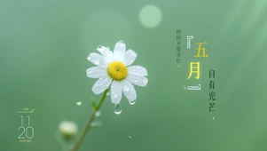时间不慌不忙，五月自有光芒。