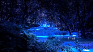 梦幻流水森林