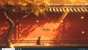 红墙银杏黑猫