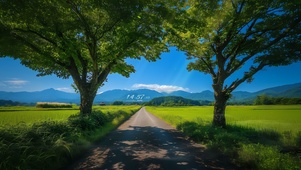 走在乡间小路