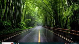 秋雨