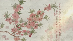 小清新佛系壁纸