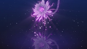 唯美紫色花朵粒子