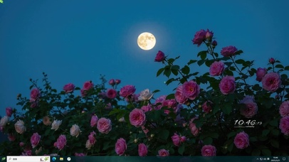 护眼月下玫瑰主题