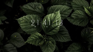 4k景深绿植壁纸