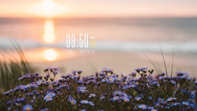 4k高清唯美小清新系列