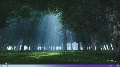 春天阳光透过森林