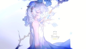 花开无期