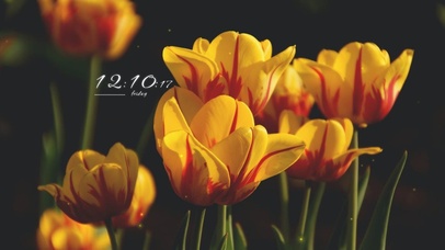 4k高清治愈小清新系列