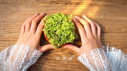 少女手中的大自然