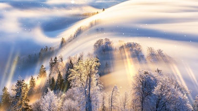 4K唯美治愈清晨森林雪景