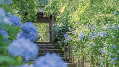 唯美治愈午后风景