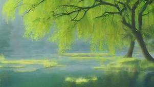 湖边的柳树