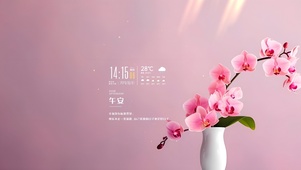 4k盛开的鲜花