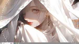 蒙纱少女