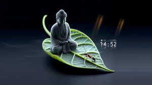 一叶一菩提
