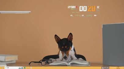 有知识的博士狗主题壁纸