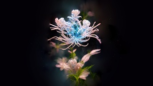 水晶彼岸花