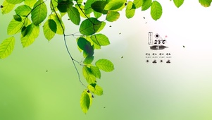 4k护眼清新风景