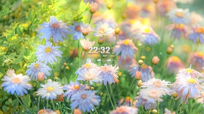 4k 治愈清新阳光花丛