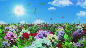 唯美的花海
